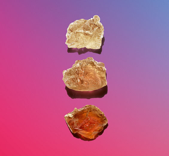 Acacia Senegal tree-Micropatch Vegetal-Acacia Senegal gum