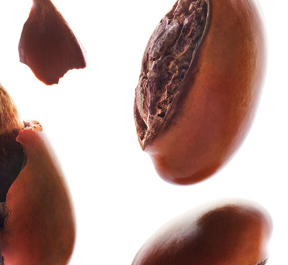 Shea-Shea butter-Butyrospermum parkii (shea) butter