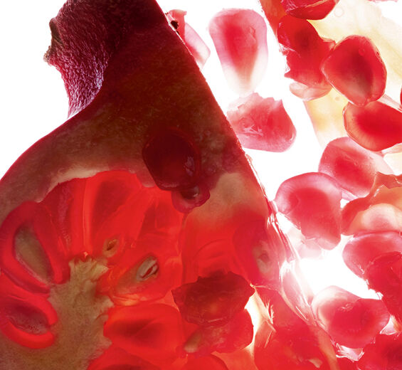 Pomegranate Tree-Organic Pomegranate extract-Punica granatum bark extract