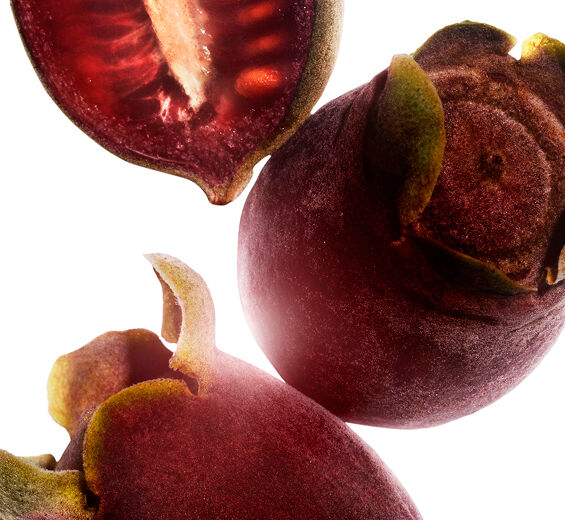 Myrtle Rose-Rose-Myrtle Extract-Rhodomyrtus tomentosa fruit extract