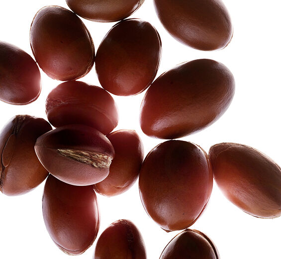 Argan-Organic Argan Oil-Argania spinosa kernel oil