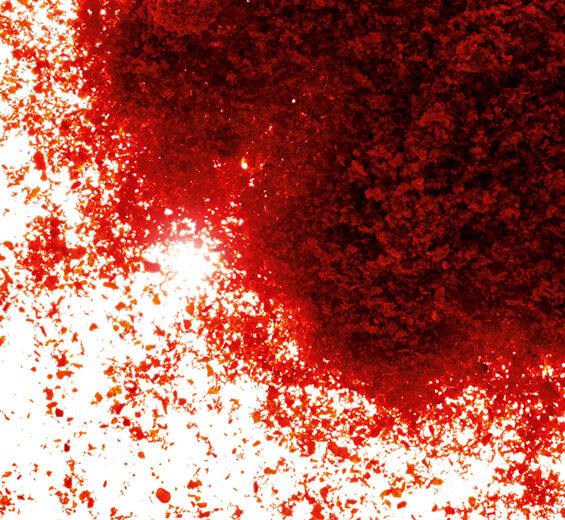 undefined-Paprika extract-Capsicum annuum fruit extract