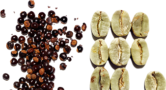 Organic guarana extract & plant caffeine