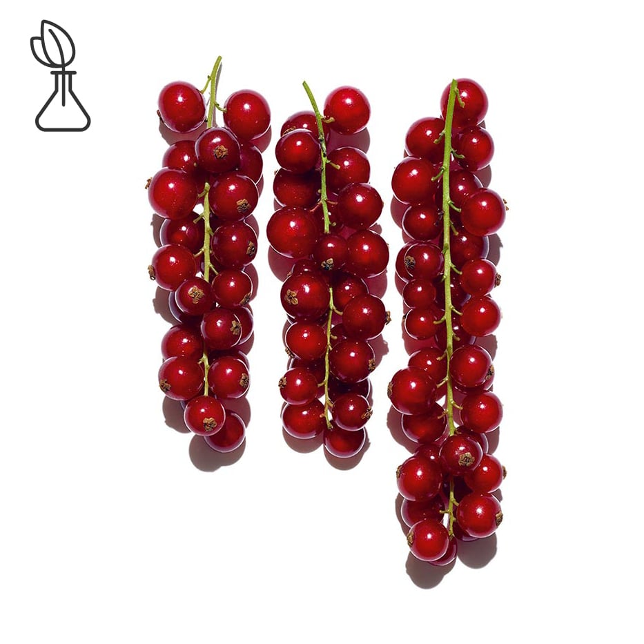 Red currant-Organic red currant extract-Ribes rubrum (currant) fruit extract