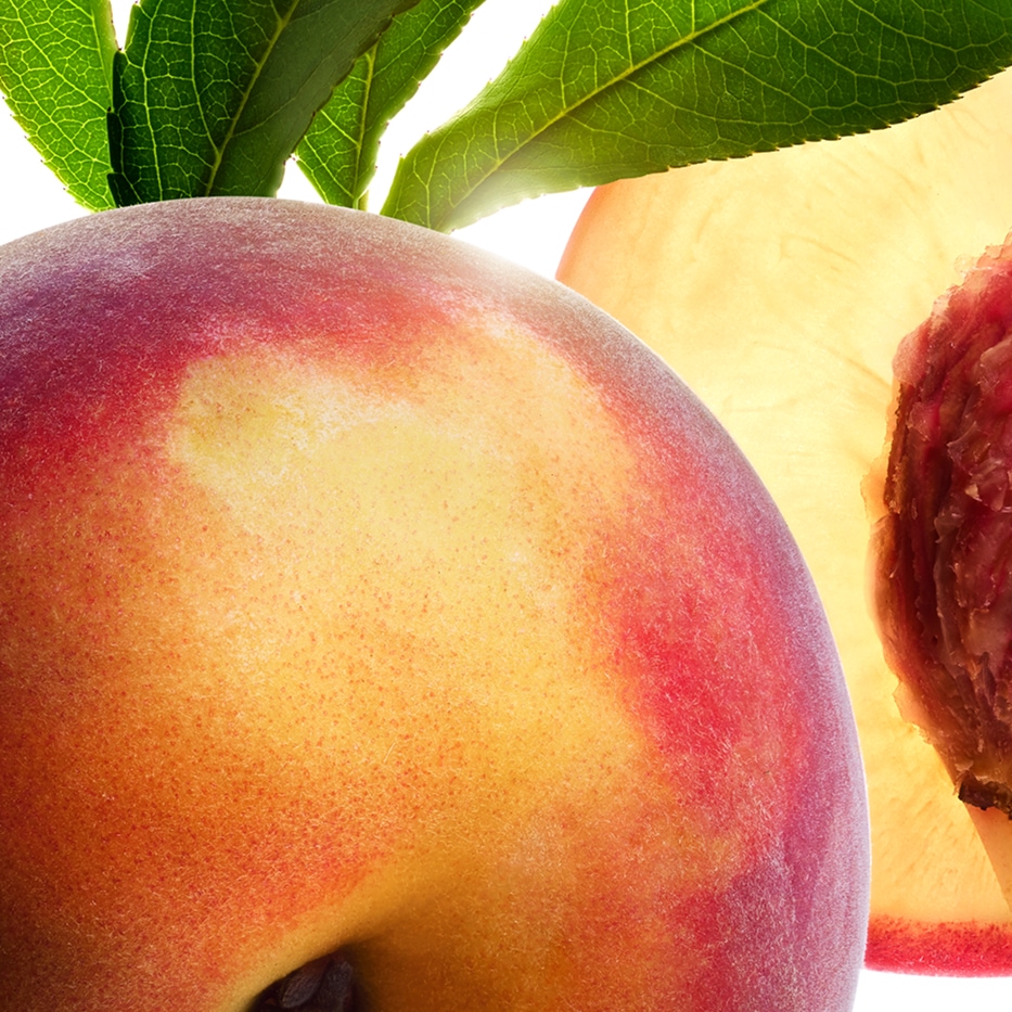 Peach tree-Peach tree milk-Prunus persica (peach) leaf extract