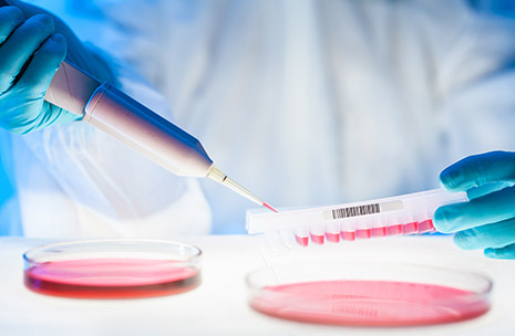 Foto uji laboratorium